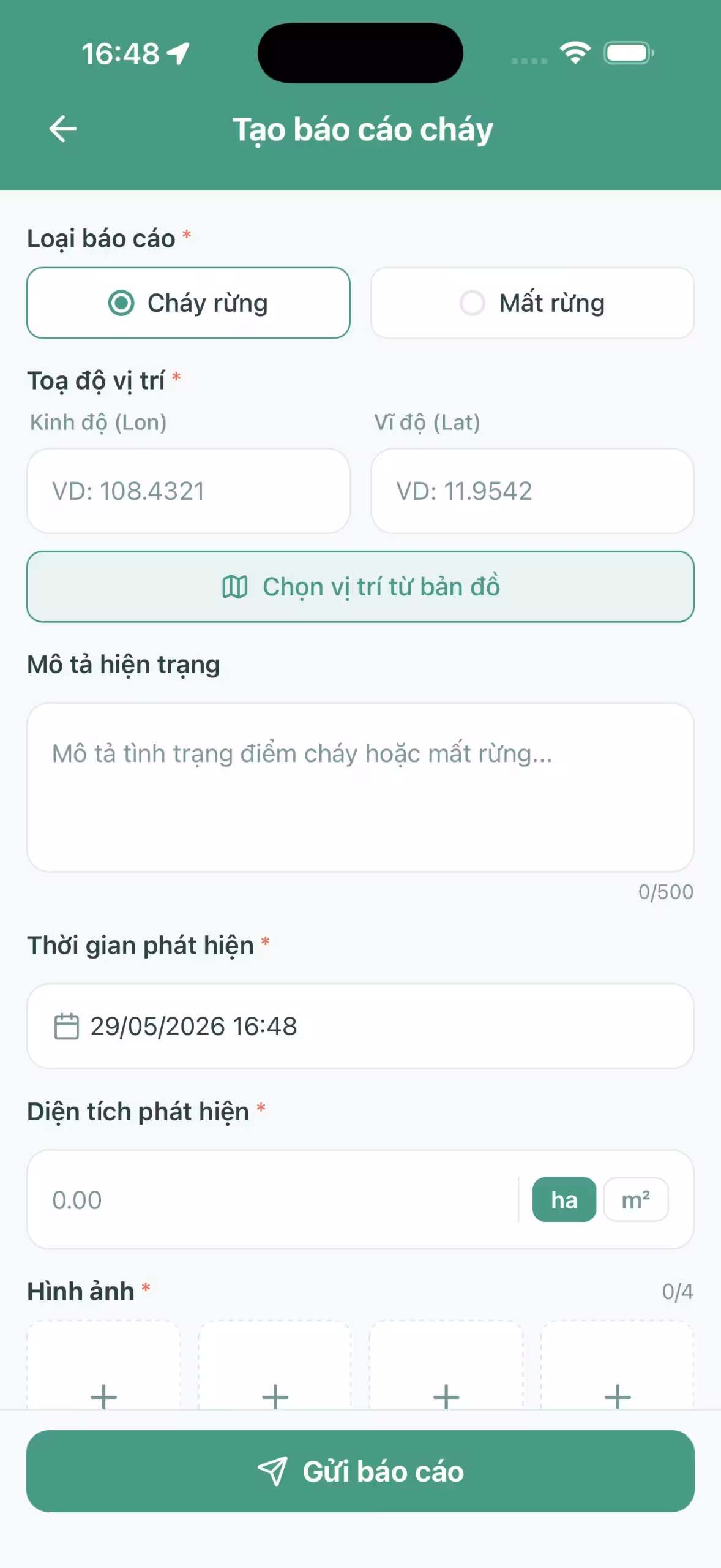 hình 5