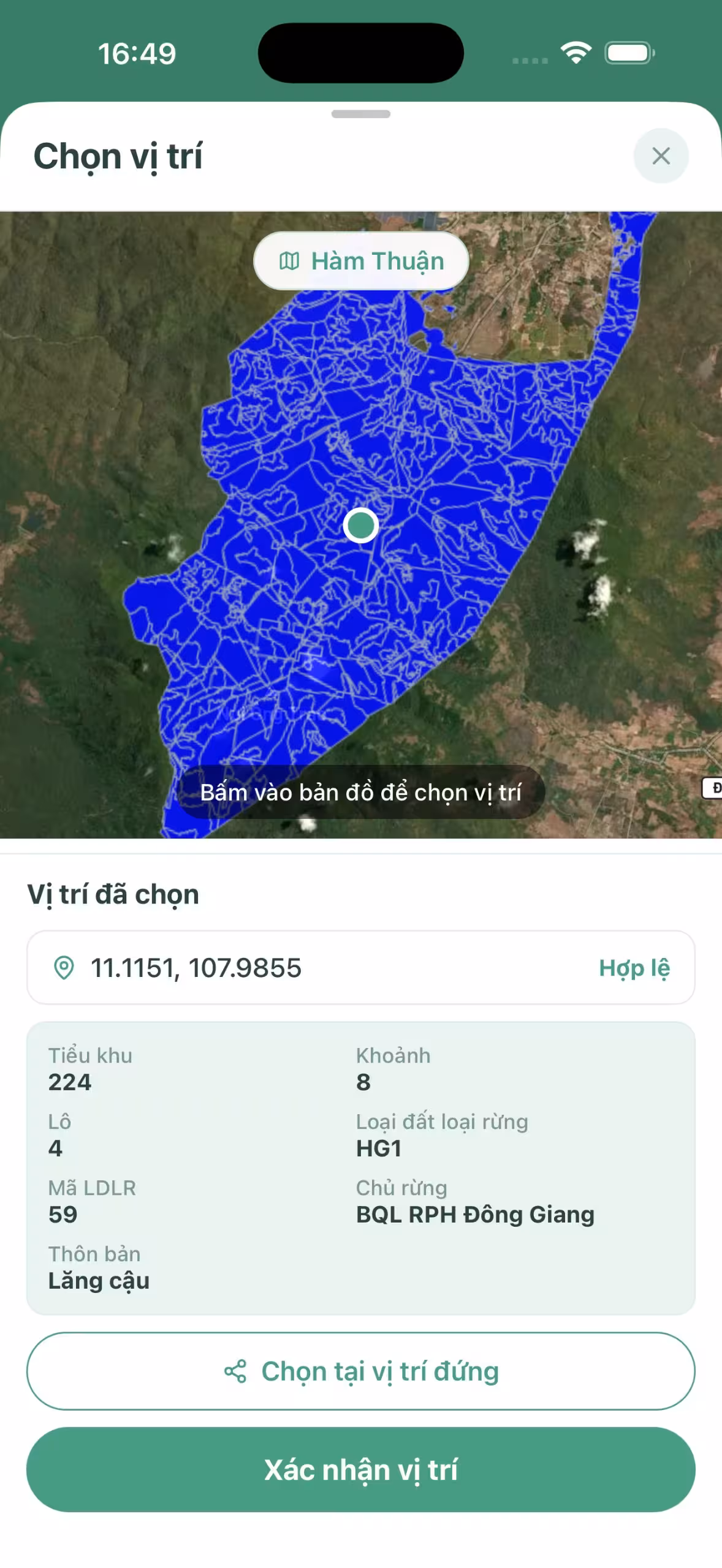 hình 6